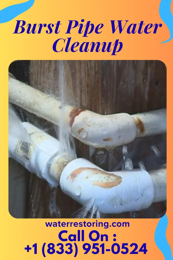 Burst Pipe Water Cleanup in Aulander, NC